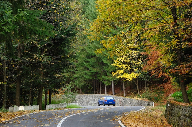 Transfagarasan 도로에서 숲에서 자동차