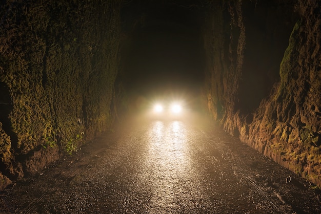 Foto fari dell'automobile alla notte nella strada nebbiosa