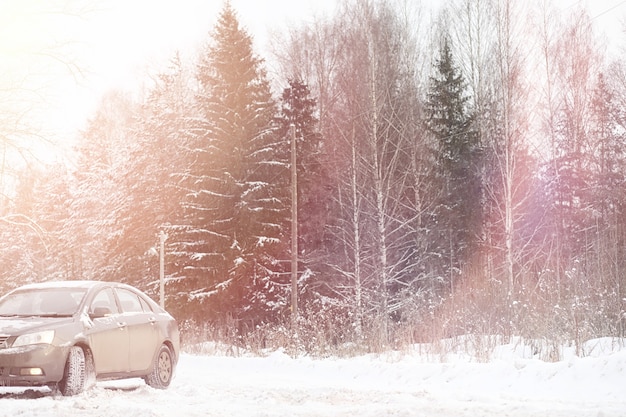 Автомобиль серый на дороге в лесу. Поездка за город на зимние выходные. Машина на дороге перед зимним парком.
