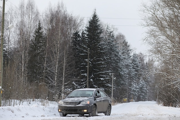 The car is gray on the road in forest. A trip to the countryside on a winter weekend. The car on the road in front of the winter park.