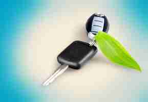 Photo car key with green leaf as trinket