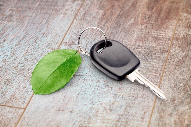 Photo car key with green leaf