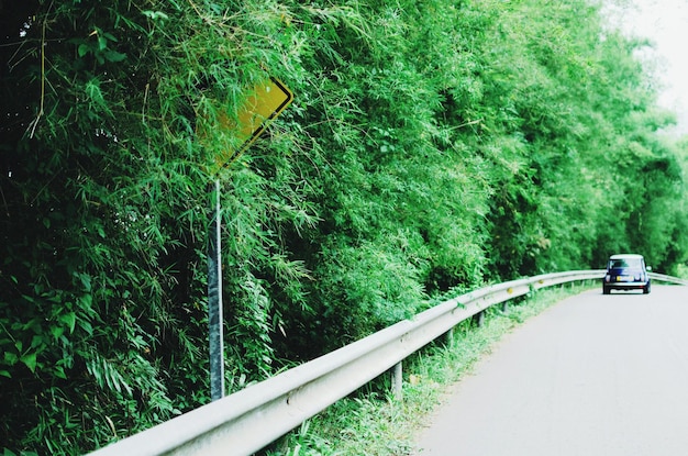 Photo car moving on road by trees