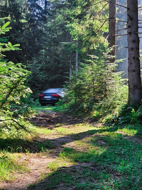숲 여름 여행에 주차 된 자동차