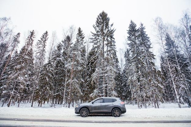 Photo car on road by trees on field during winter