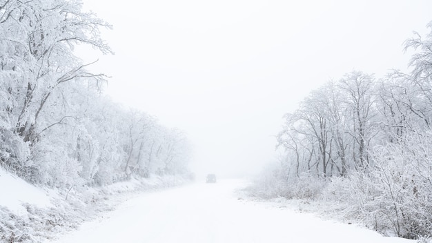 Car on snowy foggy road in winter forest