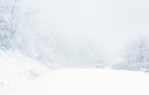 Auto su strada innevata nella foresta invernale