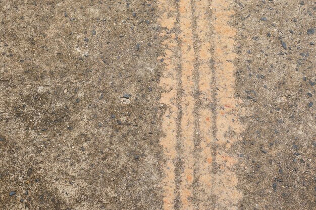 Car tire tracks on cement floor