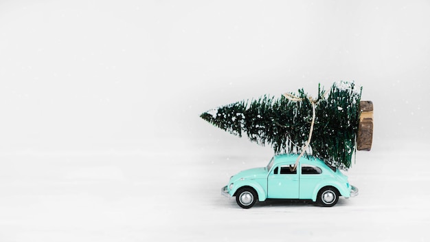 사진 위에 전나무 나무와 자동차 장난감