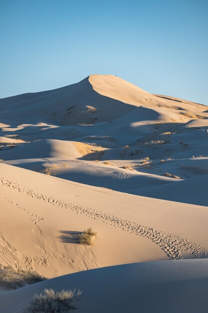 Photo car tracks in sand dunes