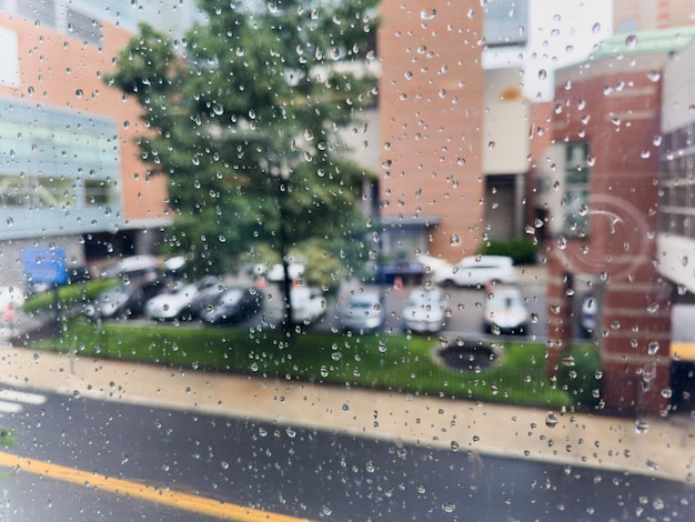 雨の滴で覆われた車の窓は自然の美しさと静けさを象徴しています 水滴は