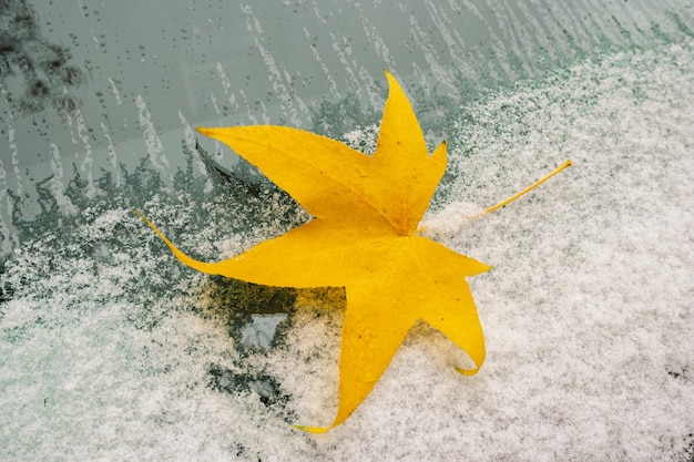 Photo car windshield with snow covered and autumn maple leaf