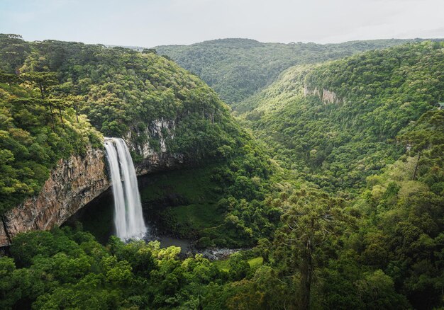 Photo caracol waterfall cascata do caracol canela rio grande do sul brazil