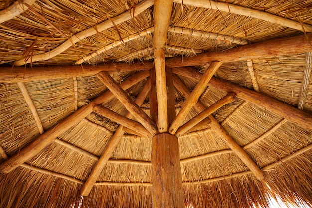 Caraïbisch stranddak in riviera Maya