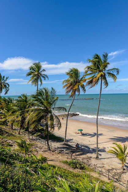 2021년 6월 13일 브라질 북동부 해안에 있는 joao pessoa paraiba 브라질 근처의 carapibus 해변