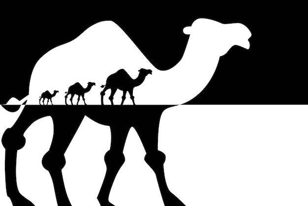 Caravan of camels Travel concept