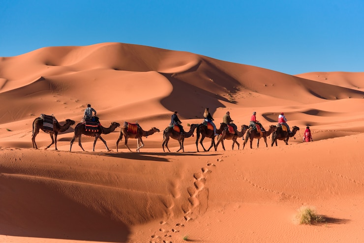 Foto caravan die in de woestijn van de sahara merzouga op marokko loopt