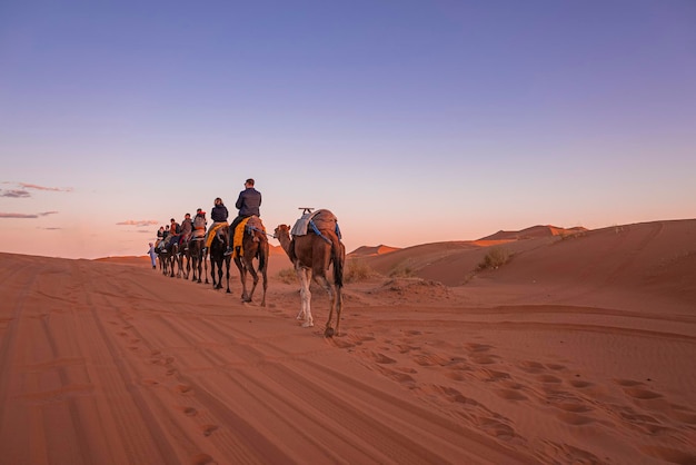 Caravan van kamelen met toeristen die door het zand in woestijn gaan