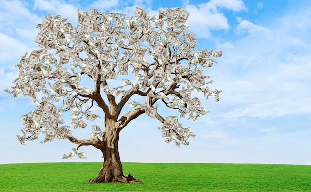 carbon credits concept