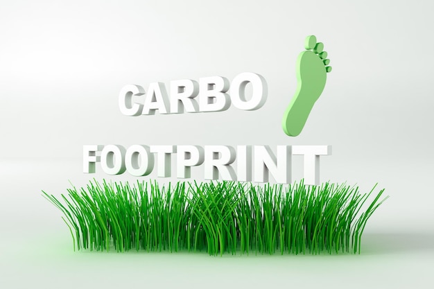 Carbon footprint surrounded by grasses