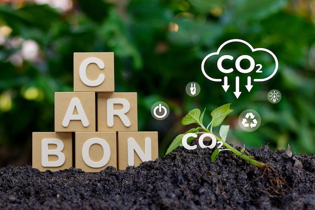 Photo carbon neutrality and net zero concept wooden blocks and green net center icon