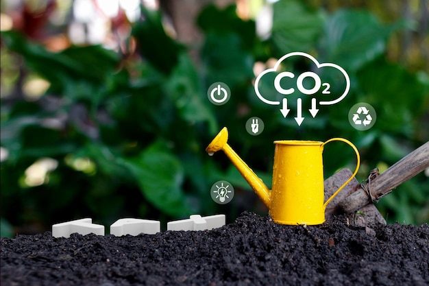 Carbon Neutrality and Net Zero concept