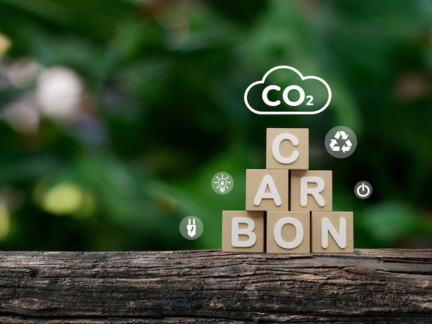 Photo carbon neutrality and net zero concept