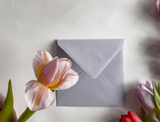 Photo card with flowers. gift envelop with green leaves and tulips. macro tulip