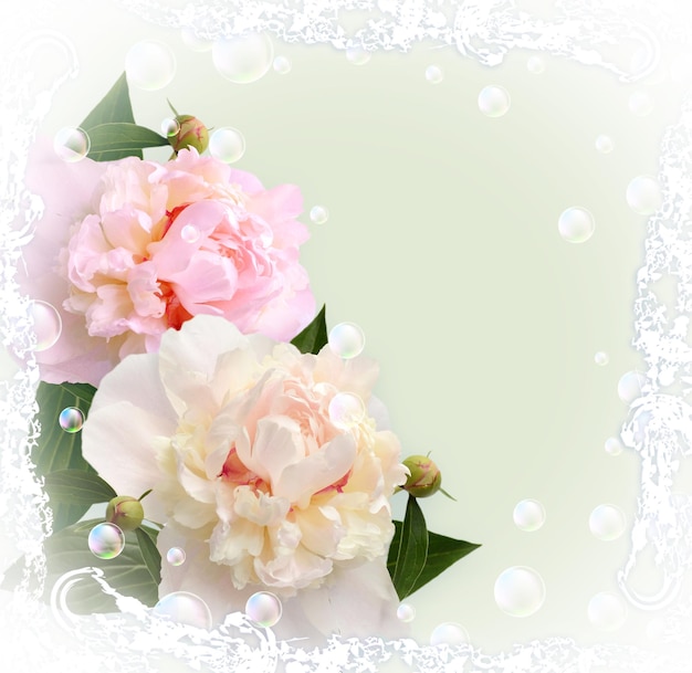 Card with peonies  and bubbles