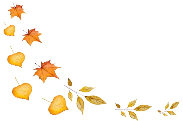 写真 秋をテーマにしたさまざまな絵が描かれたカード
