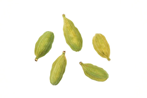 cardamom isolated on white background woth clipping path