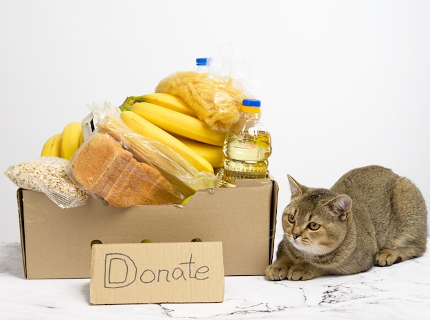 Photo cardboard box with various products, fruits, pasta, sunflower oil in a plastic bottle and preservation. donation concept