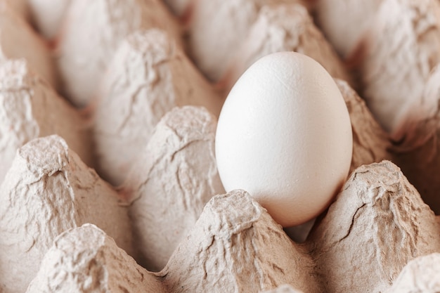 Cardboard container for eggs with one egg in a cell close-up.