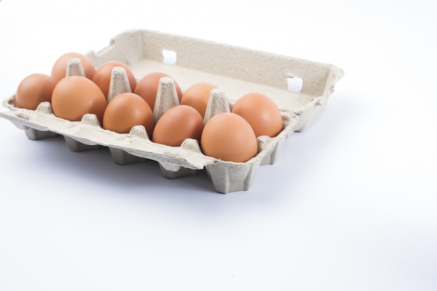 Cardboard egg rack with eggs