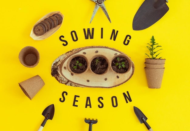 Cardboard glasses on a wooden saw cut and gardening tools on yellow