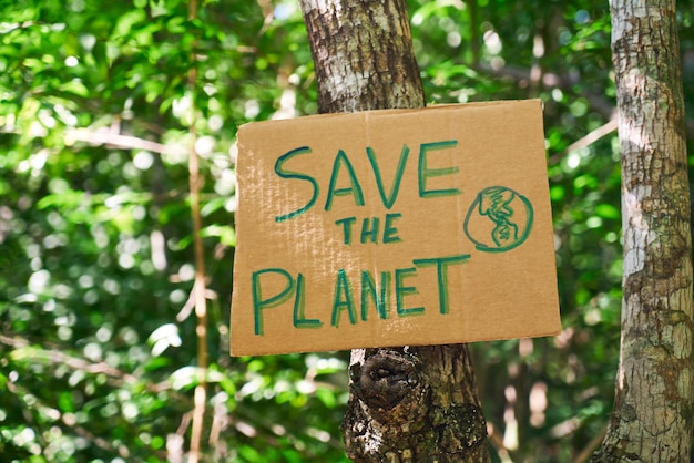 Cardboard sign written Save the planet in the jungle Concept of environmental conservation forests and jungles