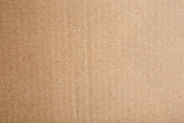 Cardboard texture closeup