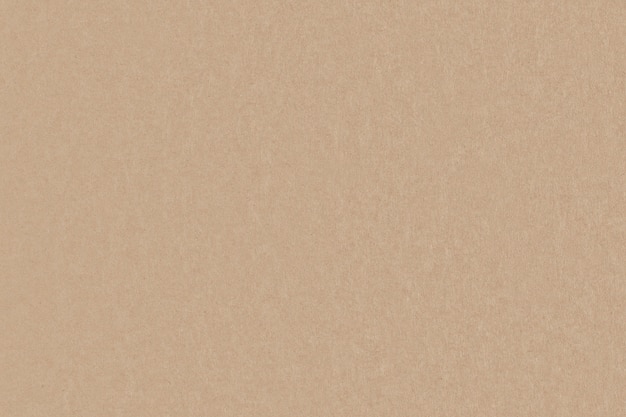 Cardboard texture. Kraft paper background. Carton.