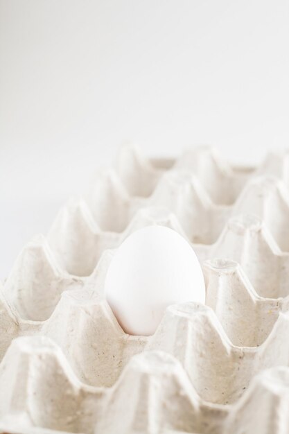 Cardboard tray one white egg on a white background