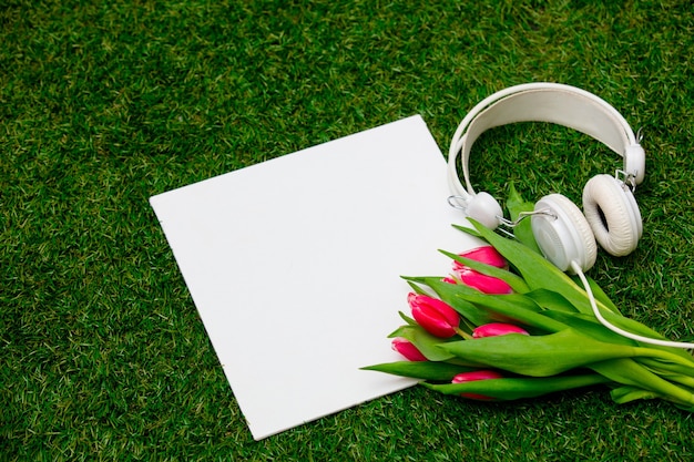 Cardboard and tulips with headphones on green grass