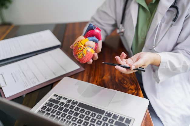 Cardiologie Raadpleging behandeling van hartaandoeningen Dokter-cardioloog tijdens raadpleging met anatomisch model op laptop online raadpleging