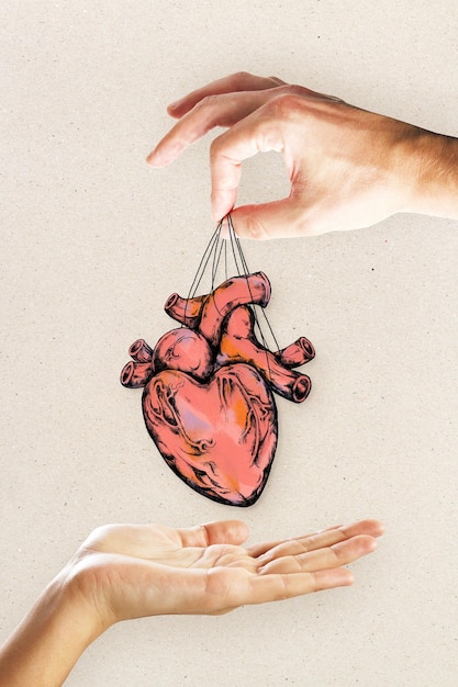 Концепция кардиологии и творчества