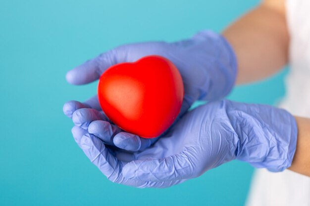 Cardiology organ donation or Healthy heart concept