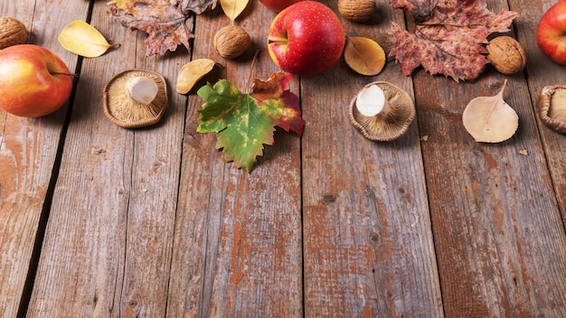 Cardoncelliキノコ、リンゴ、クルミ、古い素朴な木の板にカラフルな葉。秋の感謝祭の日の背景、コピースペース
