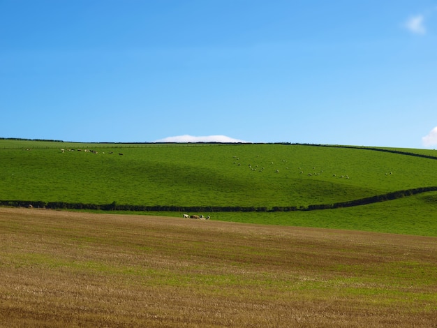 Cardross hills view