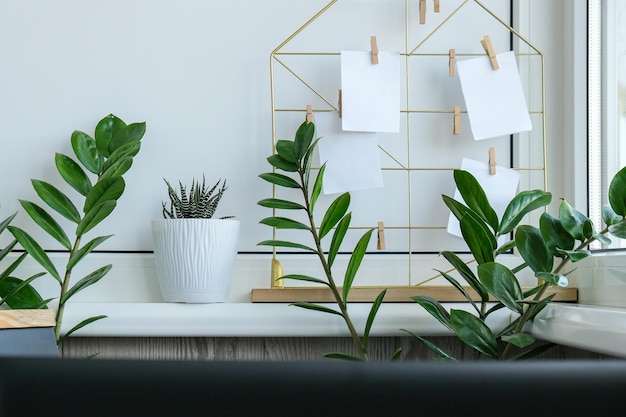 Cards and posters mock ups on grid board with green houseplants copy space hipster office table