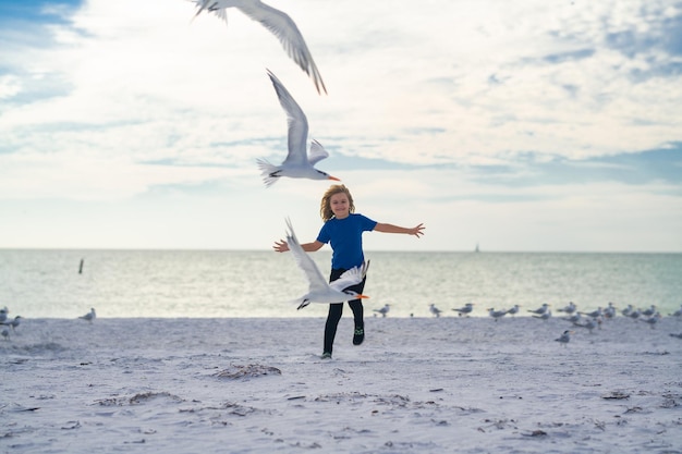 Carefree child kid boy chasing birds near summer sea beach happy child playing with seagull birds ou