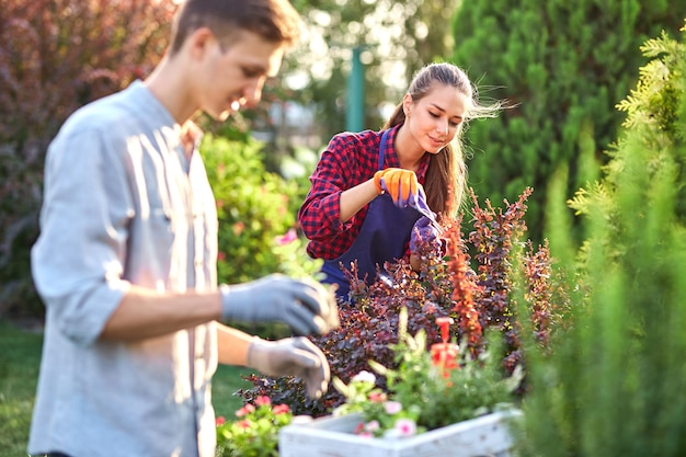 Careful guy gardener in garden gloves puts the pots with seedlings in the white wooden box on the table and a girl prunes plants in the wonderful nursery-garden on a sunny day. .