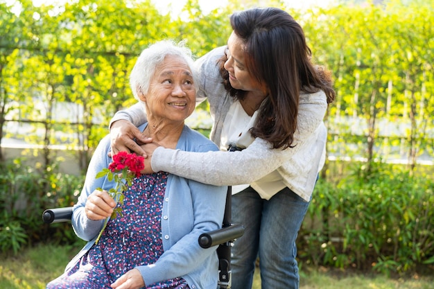 Caregiver daughter hug and help Asian senior or elderly old lady woman holding red rose on wheelchair in park