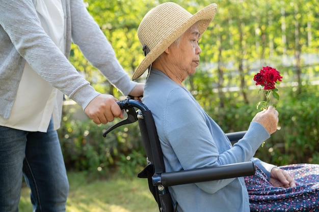 Photo caregiver daughter hug and help asian senior woman holding red rose on wheelchair in park